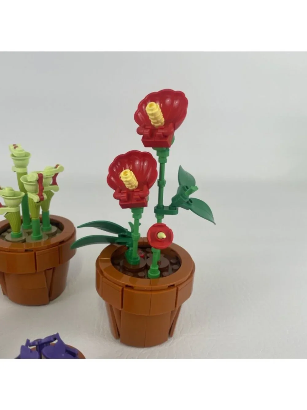 Lego Botanical Collection Tiny Plants Set 10329 Building Toy Cactus Succulents